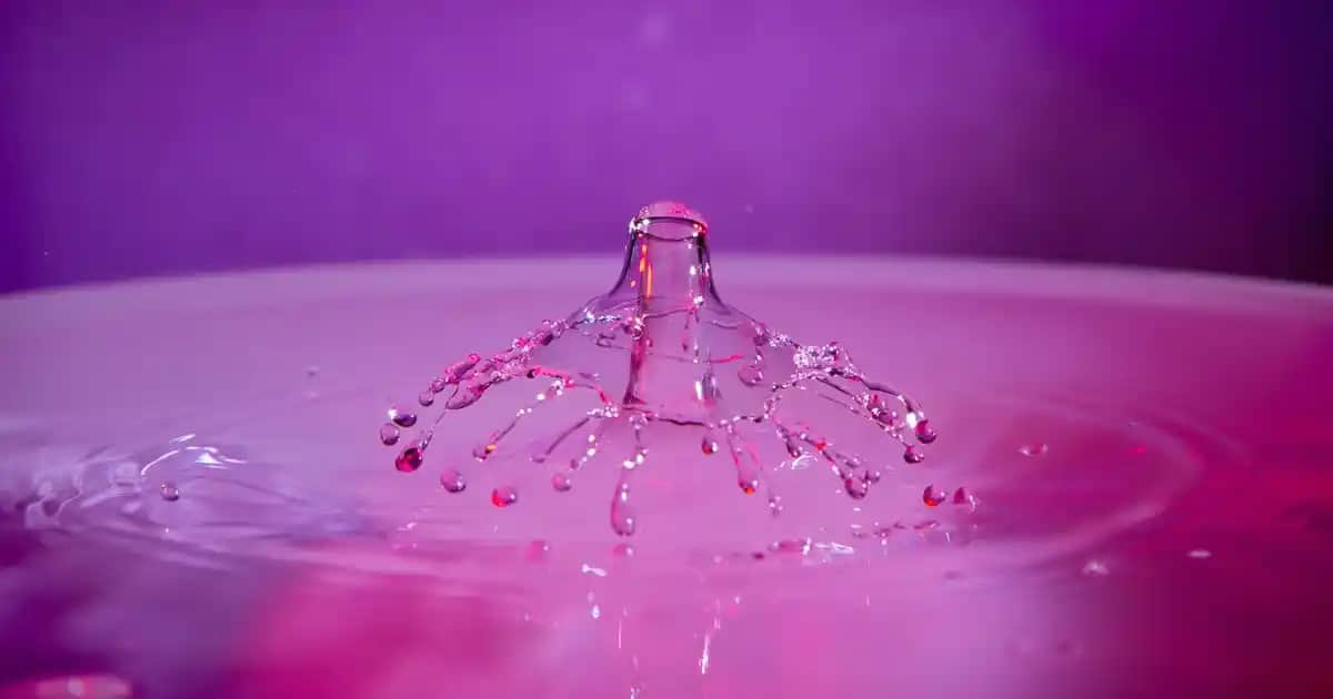 Avva Ice Grey Parfümü ve Renk Uyumu ile Modern Kozmetik Trendleri Analizi